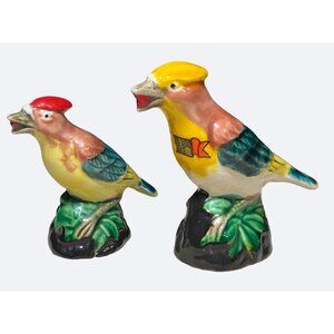 Ceramic Colorful Birds Salt and Pepper Shakers